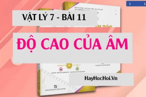 Độ cao của âm là gì? Âm trầm âm bổng là gì, có tần số như thế nào? - Vật lý 7 bài 11